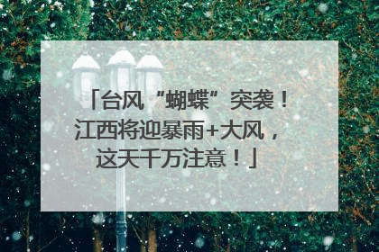 台风“蝴蝶”突袭！江西将迎暴雨+大风，这天千万注意！