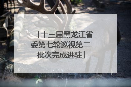 十三届黑龙江省委第七轮巡视第二批次完成进驻