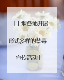 十堰各地开展形式多样的禁毒宣传活动