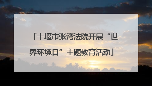 十堰市张湾法院开展“世界环境日”主题教育活动