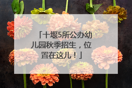 十堰5所公办幼儿园秋季招生，位置在这儿！