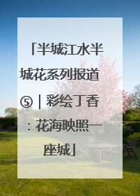半城江水半城花系列报道⑤｜彩绘丁香：花海映照一座城