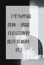 华为终端龚体：鸿蒙开启高效智能开发新时代