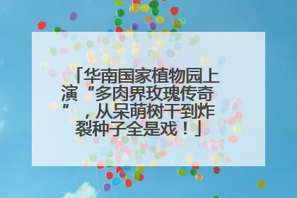 华南国家植物园上演“多肉界玫瑰传奇”，从呆萌树干到炸裂种子全是戏！