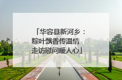华容县新河乡：粽叶飘香传温情 走访慰问暖人心