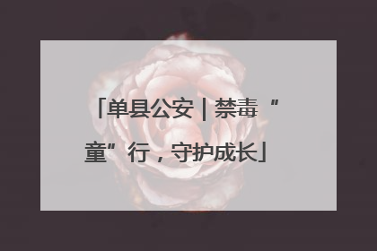 单县公安｜禁毒“童”行，守护成长