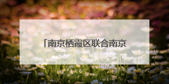 南京栖霞区联合南京邮电大学启动校地艺术共创主题月活动