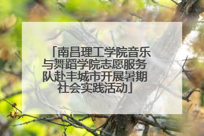南昌理工学院音乐与舞蹈学院志愿服务队赴丰城市开展暑期社会实践活动