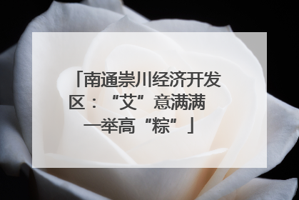 南通崇川经济开发区：“艾”意满满 一举高“粽”