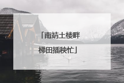 南靖土楼畔 梯田插秧忙