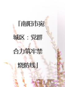 南阳市宛城区：党群合力筑牢禁烧防线