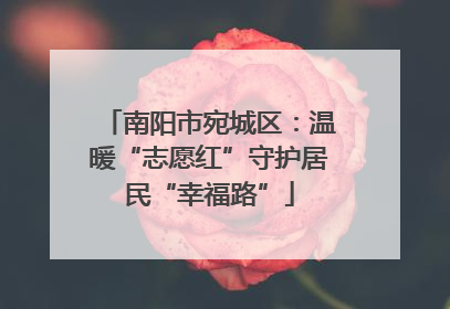 南阳市宛城区：温暖“志愿红”守护居民“幸福路”