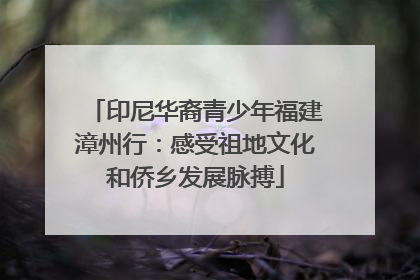印尼华裔青少年福建漳州行：感受祖地文化和侨乡发展脉搏