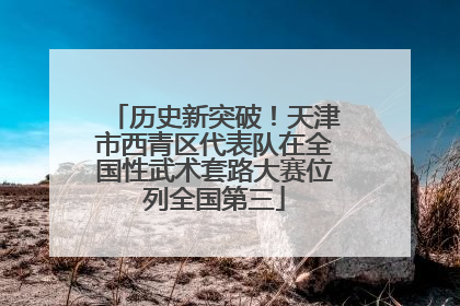 历史新突破！天津市西青区代表队在全国性武术套路大赛位列全国第三
