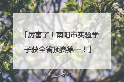 厉害了！南阳市实验学子获全省预赛第一！