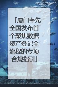 厦门率先全国发布首个聚焦数据资产登记全流程的专项合规指引