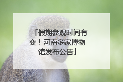 假期参观时间有变！河南多家博物馆发布公告