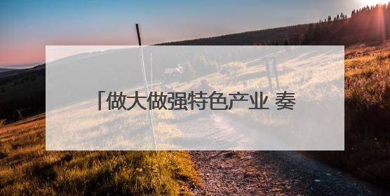 做大做强特色产业 奏响乡村振兴“富民曲”