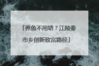 养鱼不用塘？江陵秦市乡创新致富路径