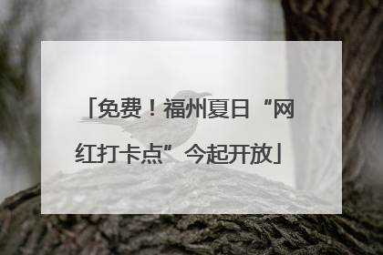 免费！福州夏日“网红打卡点”今起开放