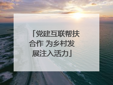 党建互联帮扶合作 为乡村发展注入活力