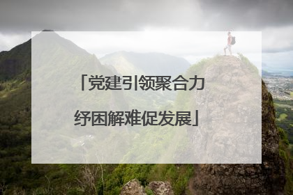 党建引领聚合力 纾困解难促发展