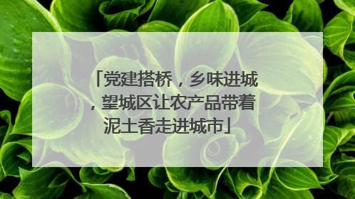 党建搭桥，乡味进城，望城区让农产品带着泥土香走进城市
