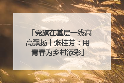 党旗在基层一线高高飘扬丨张桂芳：用青春为乡村添彩