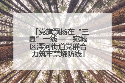 党旗飘扬在“三夏”一线——宛城区溧河街道党群合力筑牢禁烧防线