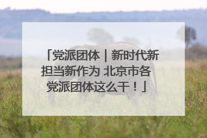 党派团体｜新时代新担当新作为 北京市各党派团体这么干！