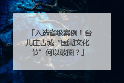 入选省级案例！台儿庄古城“国潮文化节”何以破圈？