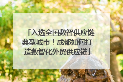 入选全国数智供应链典型城市！成都如何打造数智化外贸供应链