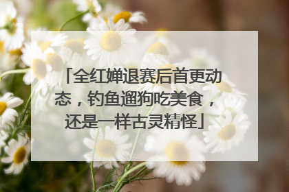 全红婵退赛后首更动态，钓鱼遛狗吃美食，还是一样古灵精怪