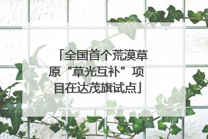 全国首个荒漠草原“草光互补”项目在达茂旗试点