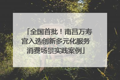 全国首批！南昌万寿宫入选创新多元化服务消费场景实践案例