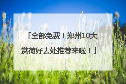 全部免费！郑州10大赏荷好去处推荐来啦！