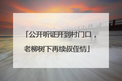 公开听证开到村门口，老柳树下再续叔侄情