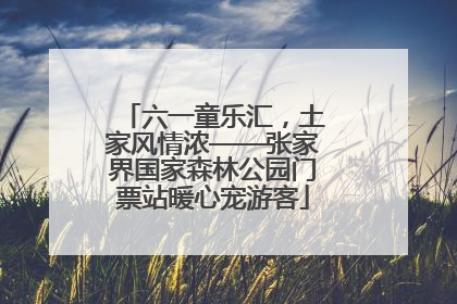 六一童乐汇，土家风情浓——张家界国家森林公园门票站暖心宠游客