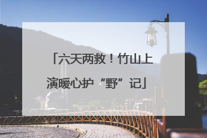 六天两救！竹山上演暖心护“野”记