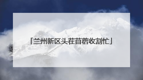 兰州新区头茬苜蓿收割忙