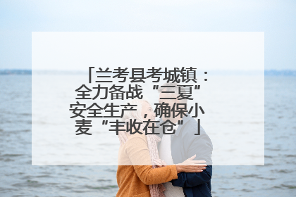 兰考县考城镇：全力备战“三夏”安全生产，确保小麦“丰收在仓”