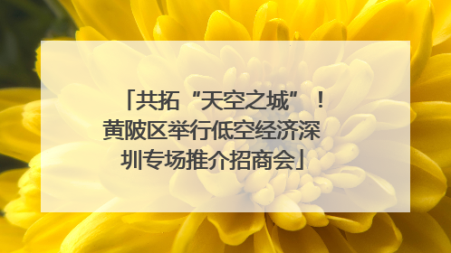 共拓“天空之城”！黄陂区举行低空经济深圳专场推介招商会