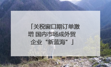 关税窗口期订单激增 国内市场成外贸企业“新蓝海”