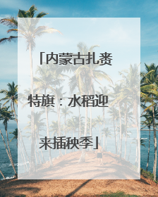 内蒙古扎赉特旗：水稻迎来插秧季