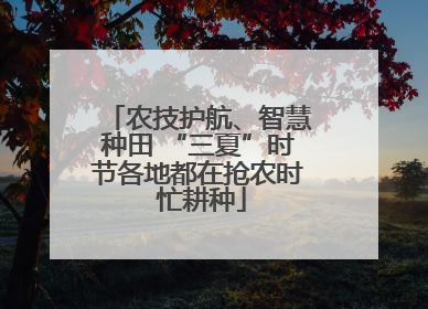 农技护航、智慧种田 “三夏”时节各地都在抢农时 忙耕种