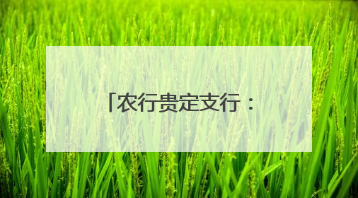 农行贵定支行：提升普惠金融 助力乡村振兴