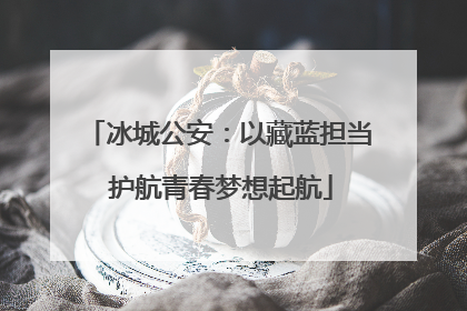 冰城公安：以藏蓝担当 护航青春梦想起航