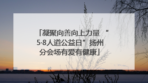 凝聚向善向上力量 “5·8人道公益日”扬州分会场有爱有健康