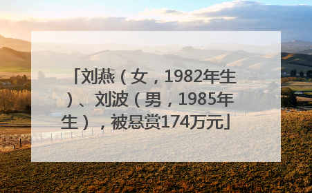 刘燕（女，1982年生）、刘波（男，1985年生），被悬赏174万元