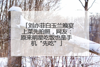 刘亦菲白玉兰晚宴上菜先拍照，网友：原来明星吃饭也是手机“先吃”